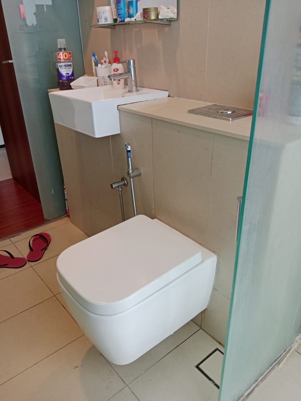 Professional plumbing work