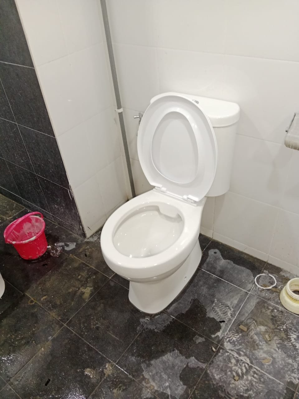 Professional plumbing work